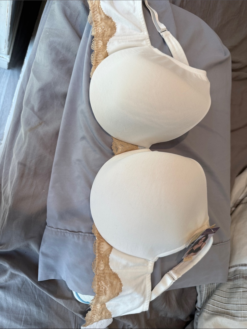 Cacique Cream T-Shirt Bra with Tan Lace Trim